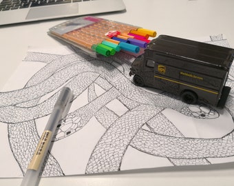 Fast Delivery Shipping Coupon with Tracking Number Expedited Service, Cardboard box