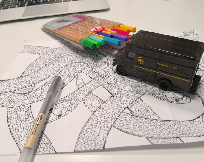 Fast Delivery Shipping Coupon with Tracking Number Expedited Service, Cardboard box