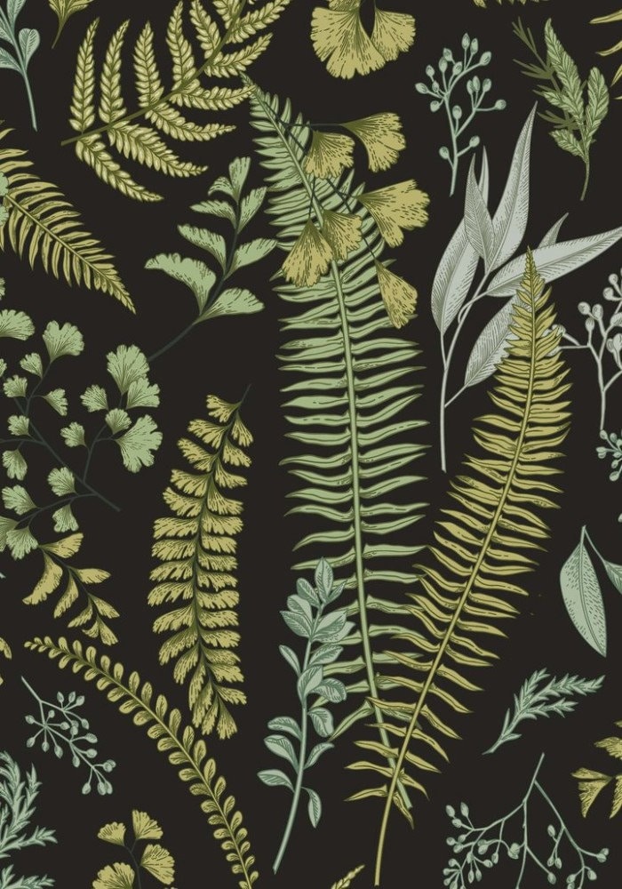 Dark Botanical wallpaper, Ferns Wallpaper, Botanical Wallpaper, Herbal