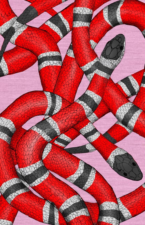 Fond Decran Gucci Serpent - Fond d'écran Wallpapers