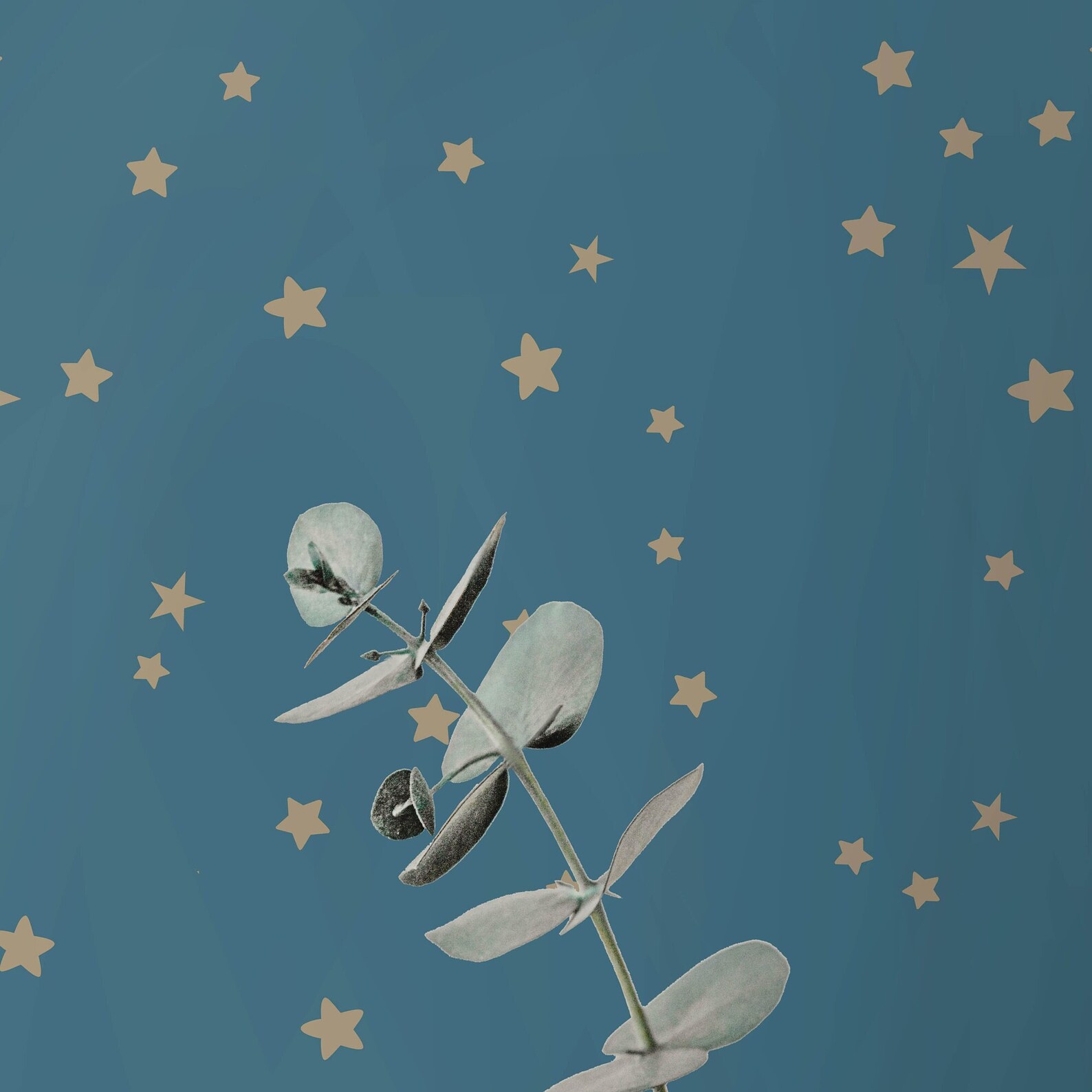 Blue and Gold Stars Wallpaper Baby Nursery Golden Star Wall Etsy