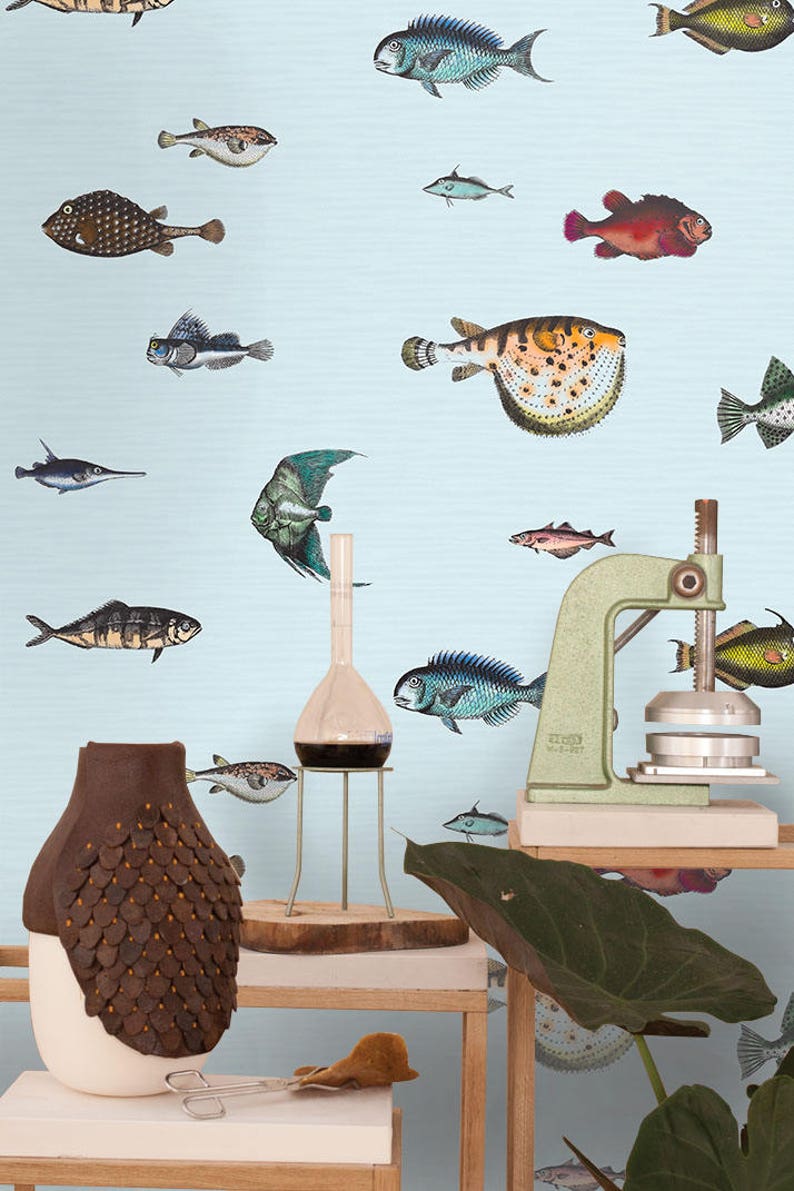 Tropical Fish Wallpaper Wall Paper Paper Wall Art Kitchen Etsy Tropical Fish Wallpaper Wall Paper Paper Wall Art Kitchen Etsy