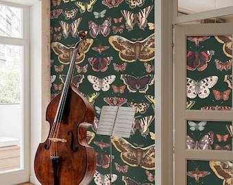 Butterfly Wallpaper for Sage Green Decor, Colorful Butterflies and Moths Dark Background  Wall Decore