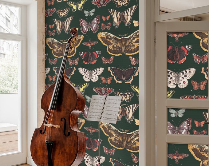 Butterfly Wallpaper for Sage Green Decor, Colorful Butterflies and Moths Dark Background  Wall Decore