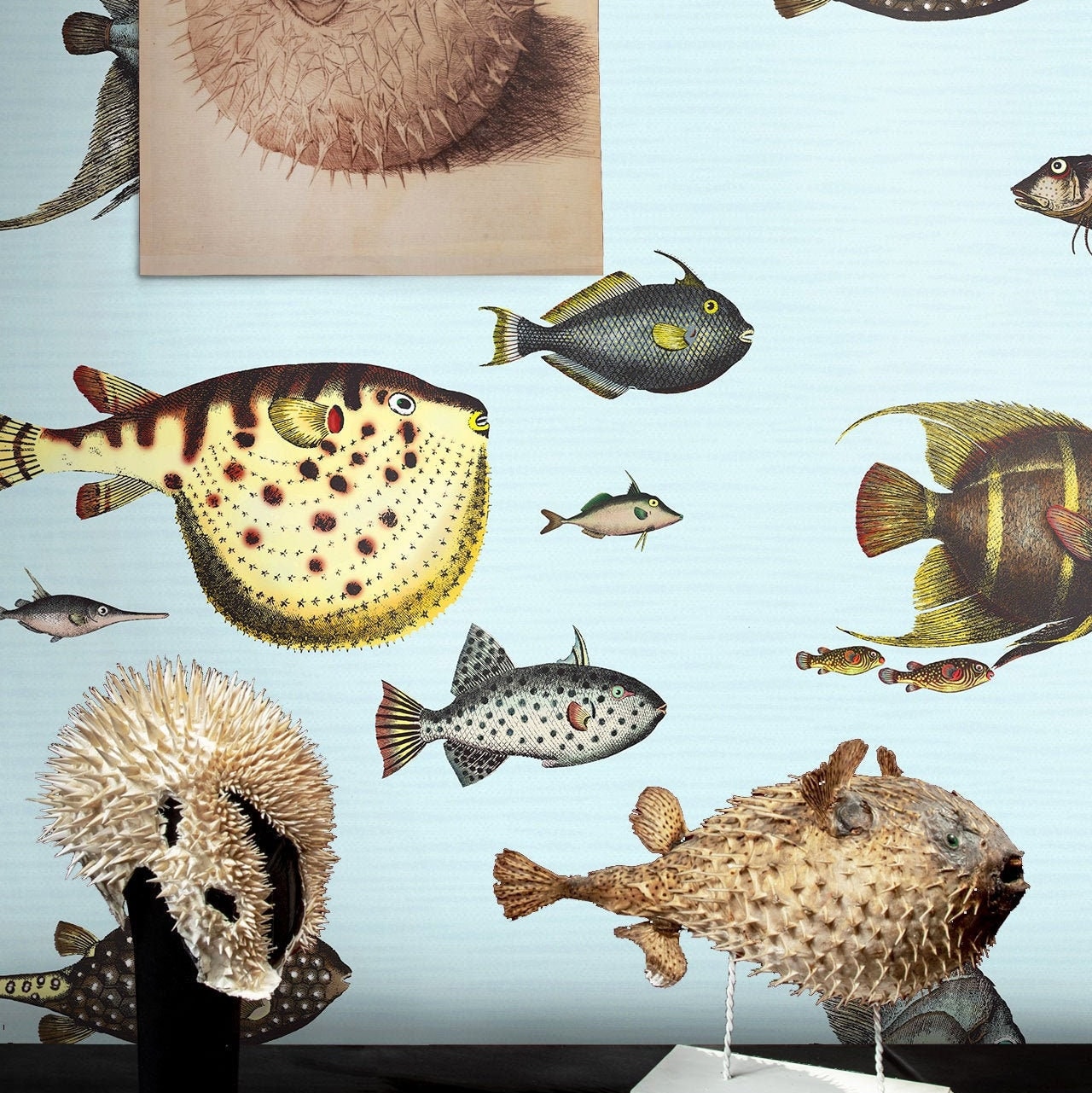 Vintage Fish Wallpaper, Marine Life Wall Art, Beach House Wall