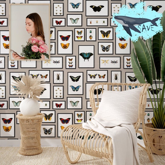 Watercolor Butterfly Frame Wallpaper, Cottagecore Room Decor, Butterflies Taxidermy Framed Wall Art