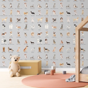 May include: A gray and white wallpaper with illustrations of different dog breeds. Each dog is labeled with its breed name. The wallpaper is in a room with a teddy bear, a rug, and a wooden crib.