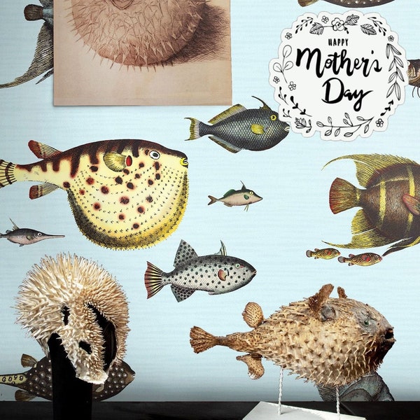 Papel pintado de peces vintage, arte de la pared de la vida marina, decoración de la pared de la casa de playa con ilustraciones detalladas de peces, papel pintado caprichoso