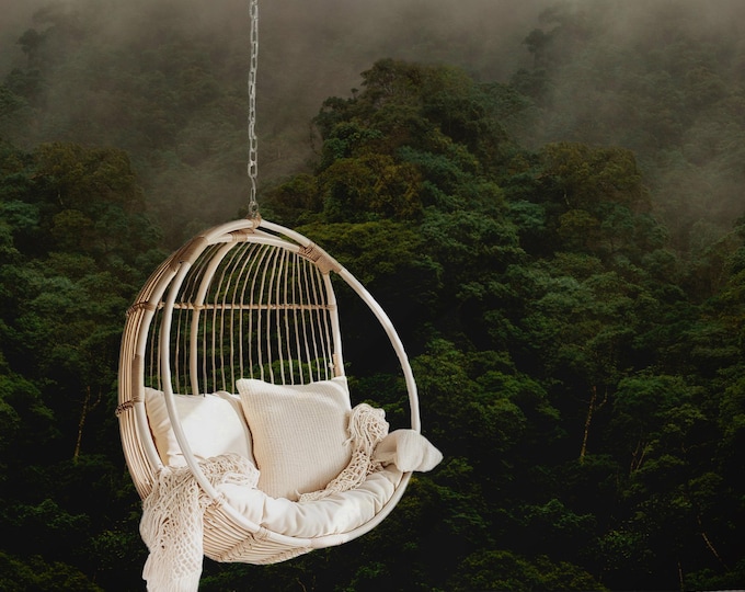 Foggy Forest Wallpaper Mural, Misty Pine Trees Landscape, Green & Gray Nature Wall Mural, Paper Wallpaper