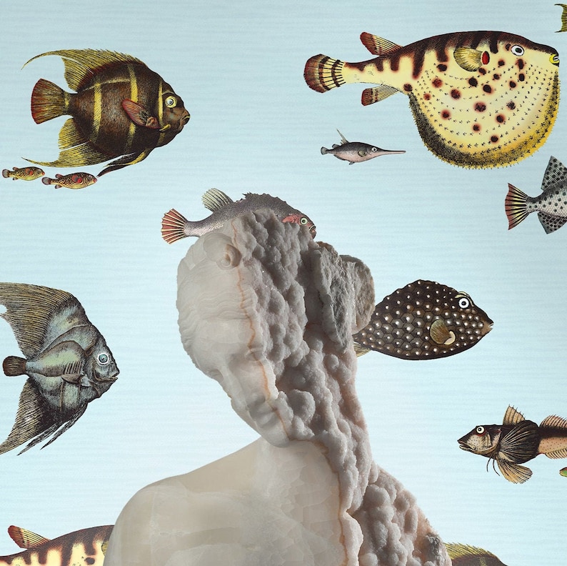 Pu&ograve; includere: Una scultura in gesso bianco di una testa e spalle di donna con una variet&agrave; di illustrazioni di pesci colorati che la circondano. I pesci sono in varie pose e dimensioni, e alcuni hanno motivi dettagliati.