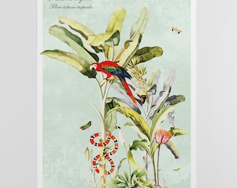 Tropical Parrot Poster, Exotic Botanical Wall Art, Vintage Jungle Illustration, Colorful Nature Print, Elegant Decor