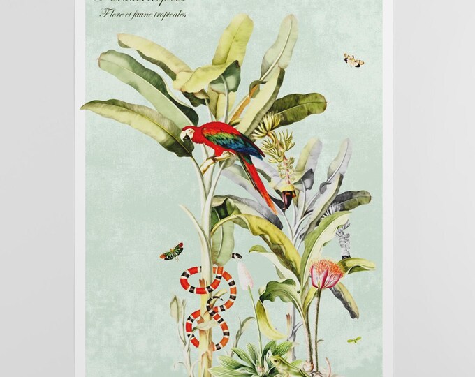 Tropical Parrot Poster, Exotic Botanical Wall Art, Vintage Jungle Illustration, Colorful Nature Print, Elegant Decor