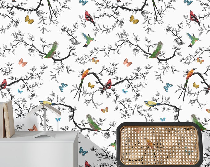 Bird and Butterfly Wallpaper, Colorful Sparrows on White Botanical Wallpaper for Living Room and Nursery