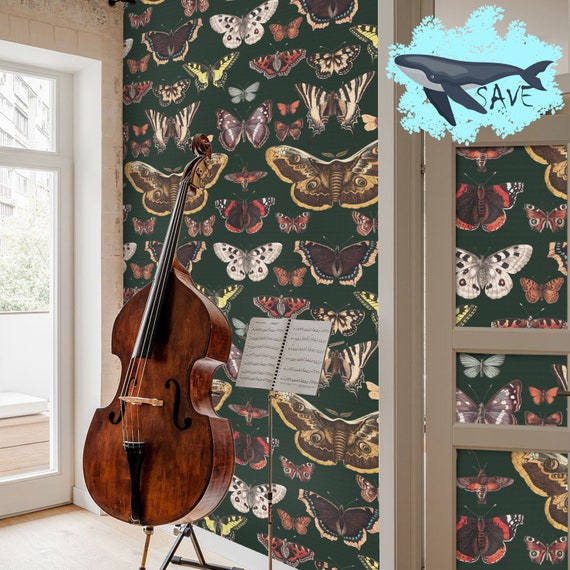 Butterfly Wallpaper for Sage Green Decor, Colorful Butterflies and Moths Dark Background  Wall Decore