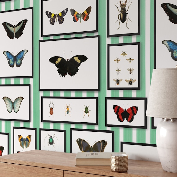 Watercolor Butterfly Frame Wallpaper, Cottagecore Room Decor, Butterflies Taxidermy Framed Wall Art