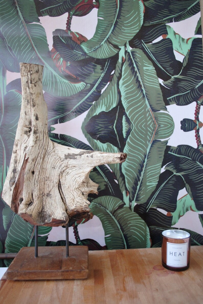 Exotic Banana Leaf Tropical Print Wallpaper Wall Covering for Etsy
