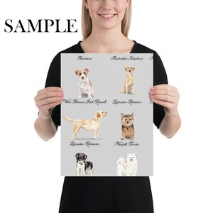 Puede incluir: Un p&oacute;ster imprimible con ilustraciones de diferentes razas de perros, incluyendo un Jack Russell de pelo duro, un Labrador Retriever, un Norfolk Terrier, un Bich&oacute;n Habanero, un Pastor Australiano y un perro blanco y negro. El p&oacute;ster tiene un fondo gris claro.