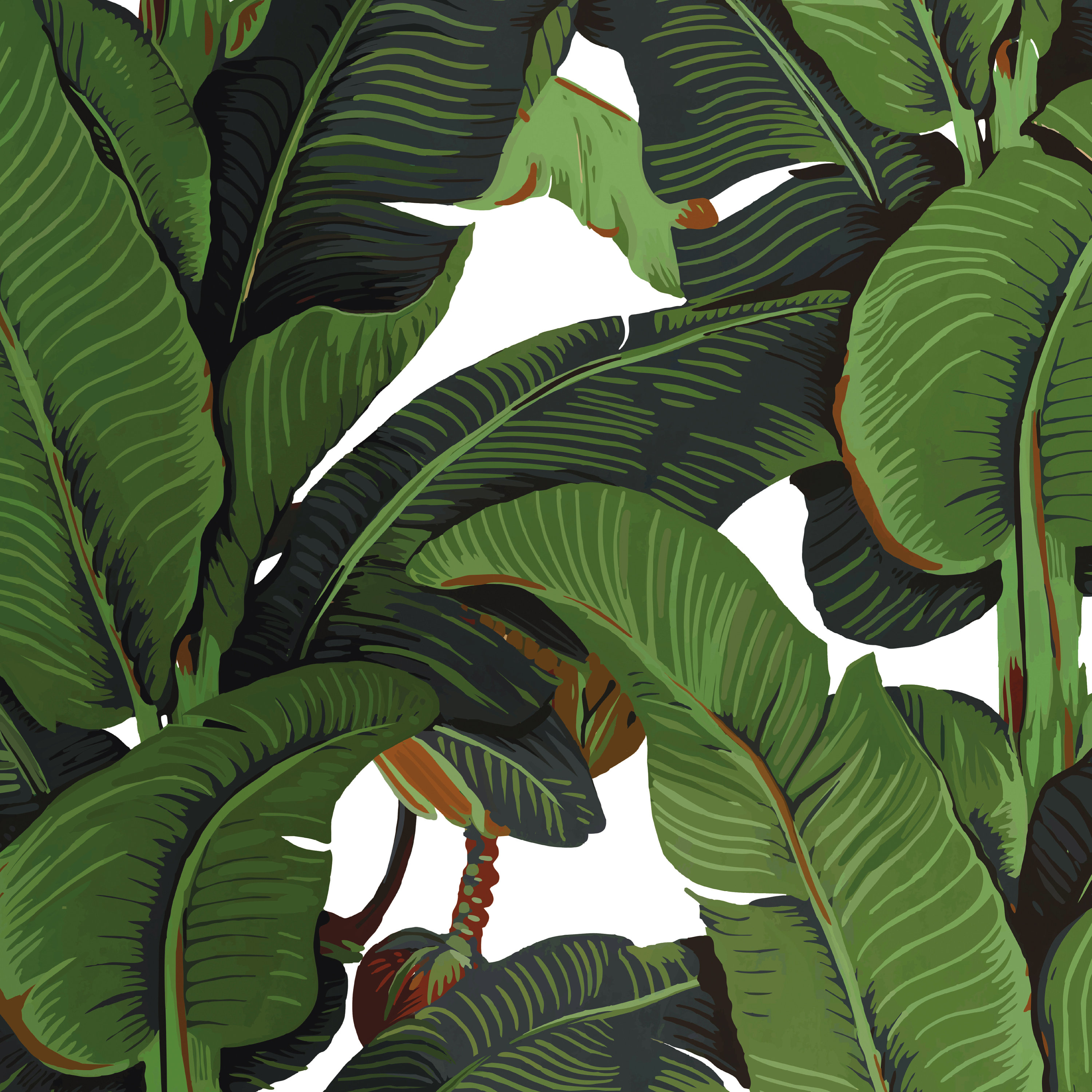 Tropical Banana Leaf Wallpaper » Arthatravel.com