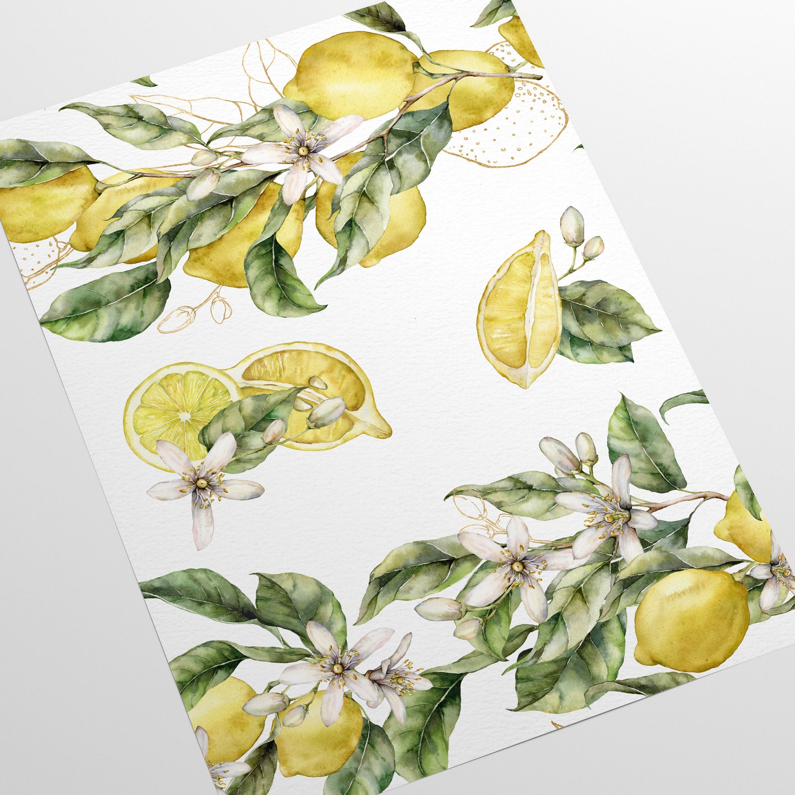 Amalfi Coast Lemon Tree Wallpaper Vintage Floral Wall Mural | Etsy Ireland