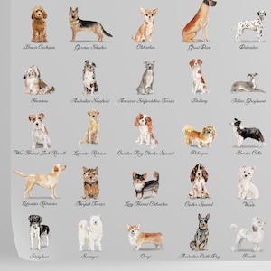 Puede incluir: Un gr&aacute;fico con 25 razas de perros diferentes, ilustradas en estilo acuarela. Cada raza est&aacute; etiquetada con su nombre. Las razas incluyen: Cockapoo marr&oacute;n, Pastor alem&aacute;n, Chihuahua, Gran Dan&eacute;s, D&aacute;lmata, Havan&eacute;s, Pastor australiano, American Staffordshire Terrier, Brittany, Galgo italiano, Jack Russell de pelo duro, Labrador Retriever, Cavalier King Charles Spaniel, Pekin&eacute;s, Border Collie, Labrador Retriever, Norfolk Terrier, Chihuahua de pelo largo, Cocker Spaniel, Westie, Stabyshowr, Samoyedo, Corgi, Perro de ganado australiano, Caniche.
