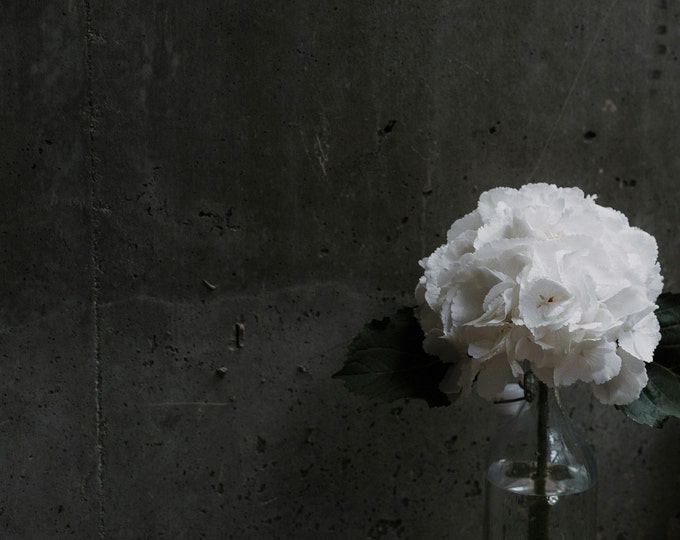 Modern Industrial Black Concrete Wallpaper, Urban Sophistication, Concrete Effect Wall Decor for Modern Decor