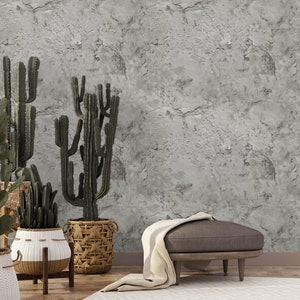 Puede incluir: Una pared de hormigón gris con un otomano de cuero marrón y una variedad de cactus y suculentas en macetas. El otomano tiene una manta blanca drapeada sobre él.