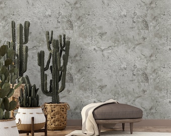 Industrial Concrete Modern Wallpaper, Minimalistic Grey Cement Wall Mural, Plaster Wallpaper