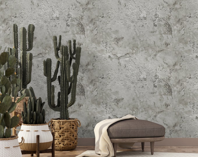 Industrial Concrete Modern Wallpaper, Minimalistic Grey Cement Wall Mural, Plaster Wallpaper