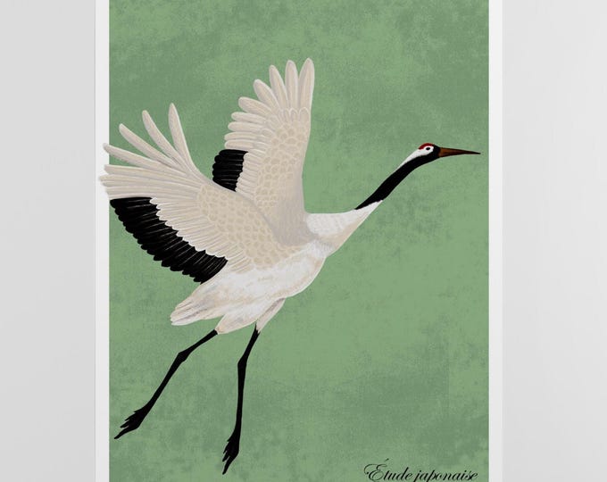 Japanese Crane Poster, Japandi Wall Art, Sage Green Zen Bird Print, Red Crowned Crane Illustration, Asian Nature Decor