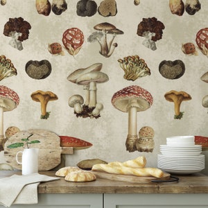 Botanical Print Mushroom Wallpaper, Vintage Illustration Fungi Cottagecore Kitchen Decor, Cottage Wallpaper