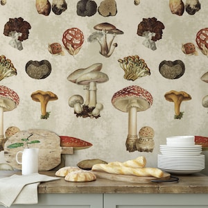 Carta da Parati Funghi