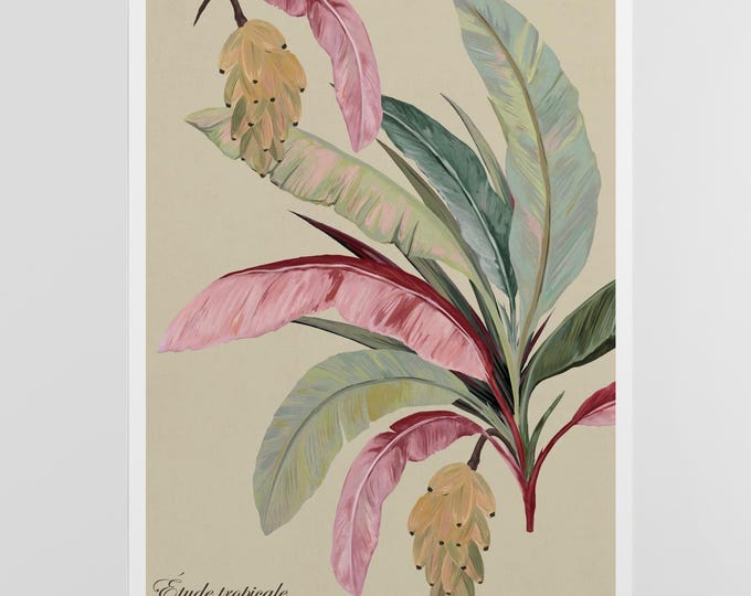 Banana Plant Poster, Tropical Botanical Wall Art, Vintage Illustration Print, Pink Green Nature Decor, Elegant Leaf Artwork