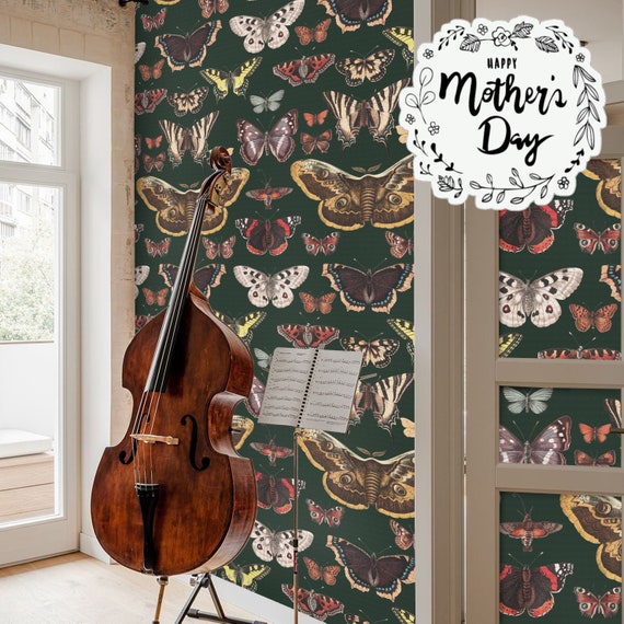 Butterfly Wallpaper for Sage Green Decor, Colorful Butterflies and Moths Dark Background  Wall Decore