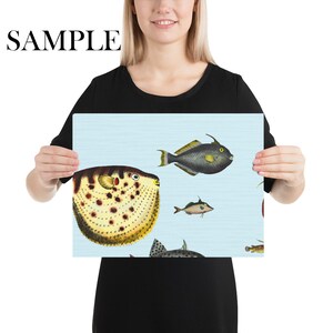 Pu&ograve; includere: Uno sfondo blu con una variet&agrave; di pesci colorati. I pesci sono illustrati in stile vintage. I pesci includono un pesce palla, un pesce balestra e un pesce lima.