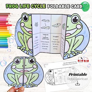 May include: A green and white foldable card illustrating the frog life cycle, featuring a cartoon frog design. The card unfolds to show the stages: egg, tadpole, froglet, and adult frog. Text includes "Frog Life Cycle Foldable Card" and "Printable Digital Download."