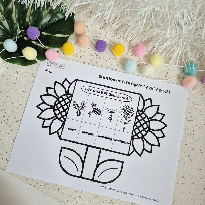 Sunflower Life Cycle Craft | Foldable Plant Life Cycle Activity for ...