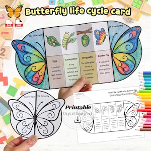 May include: A colorful butterfly life cycle card with illustrations of each stage: egg, caterpillar, chrysalis, and butterfly. The card is held by a person. The text "Butterfly life cycle card" is at the top.