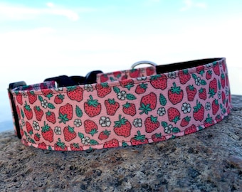 Strawberry Dog Collar - dog collar - summer dog collar -  RECYCLED CANVAS collar