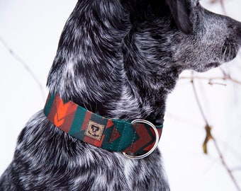 Aztec Harvest Dog Collar - water resistant dog collar - dog collar