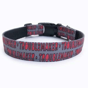 May include: Gray dog collar with a black buckle and red text that reads "Troublemaker" repeated.