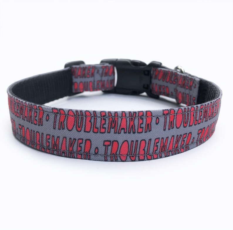 May include: Gray dog collar with a black buckle and red text that reads "Troublemaker" repeated.