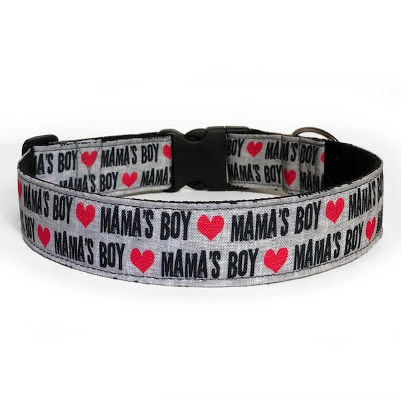 boy dog collars