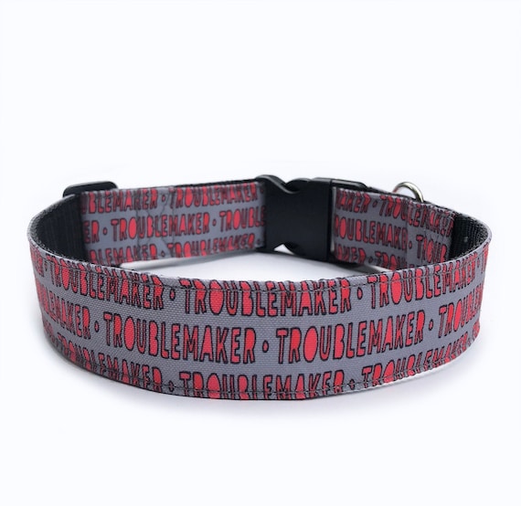 Troublemaker dog collar, dog lover gift, dog collar, funny dog collar, boy dog collar