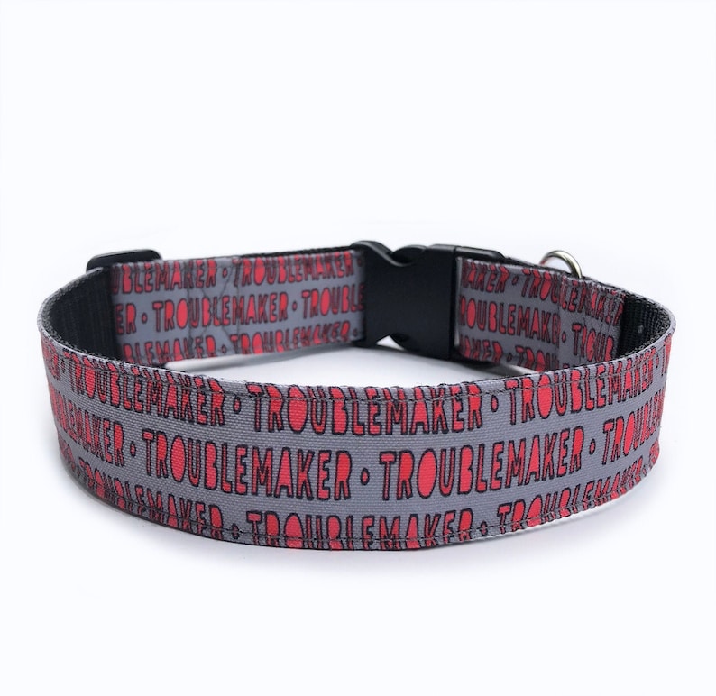May include: A gray dog collar with a black buckle and a red "Troublemaker" print.