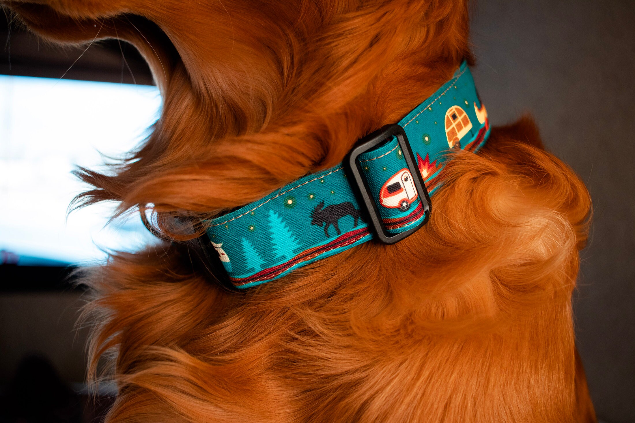 Camping Dog Collar Outdoorsy Dog Collar Adventure Dog Etsy Canada
