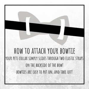 Może przedstawiać: Czarno-biała ilustracja muszki z instrukcjami, jak przymocować ją do obroży zwierzęcia. Tekst brzmi: "HOW TO ATTACH YOUR BOWTIE YOUR PETS COLLAR SIMPLY SLIDES THROUGH TWO ELASTIC STRAPS ON THE BACKSIDE OF THE BOW! BOWTIES ARE EASY TO PUT ON, AND TAKE OFF!"
