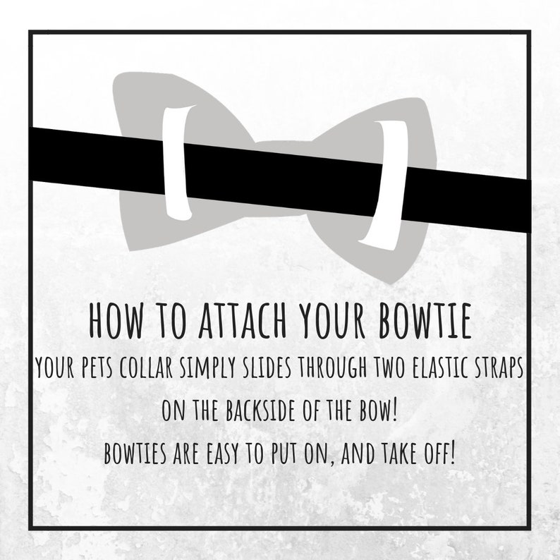 Może przedstawiać: Czarno-biała ilustracja muszki z instrukcjami, jak przymocować ją do obroży zwierzęcia. Tekst brzmi: "HOW TO ATTACH YOUR BOWTIE YOUR PETS COLLAR SIMPLY SLIDES THROUGH TWO ELASTIC STRAPS ON THE BACKSIDE OF THE BOW! BOWTIES ARE EASY TO PUT ON, AND TAKE OFF!"