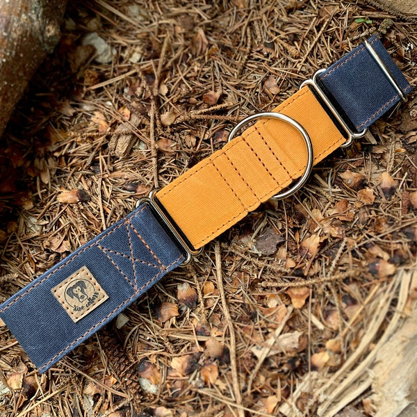 Waxed Canvas Martingale dog collar - martingale - martingale dog collar - navy & yellow martingale