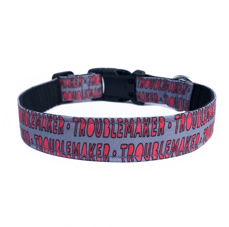 May include: A gray dog collar with a black buckle and red text that reads "Troublemaker" repeated around the collar.