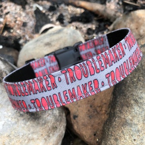 May include: A gray dog collar with a black buckle and red text that reads "Troublemaker" repeated around the collar.